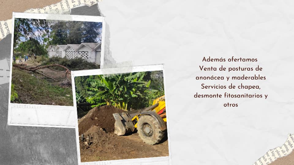 Venta de posturas y desmonte fitosanitarios