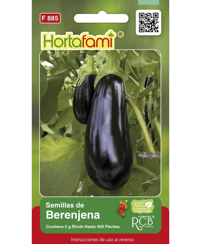 Muestras de semillas de berenjena