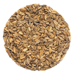 [FLL1566] Muestras de semillas de coliflor (copia)